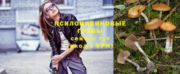 винт Абаза