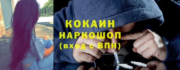 винт Абаза
