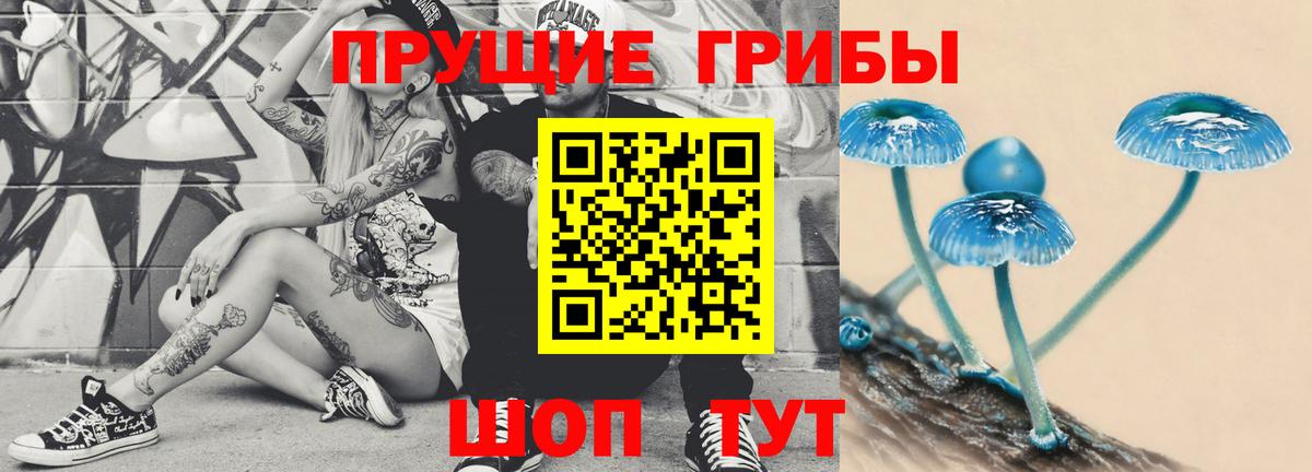 Галлюциногенные грибы прущие грибы  Вход с VPN  Богородицк 