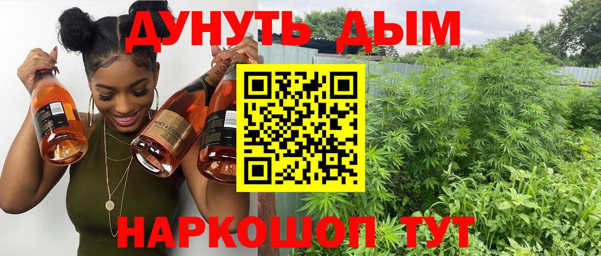 Богородицк  Бошки марихуана White Widow  Бошки Шишки планчик  Марихуана ГИДРОПОН  Вход с VPN 